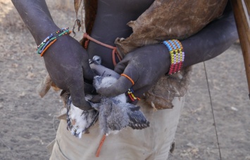Bushman hangs dead birds on his belt.