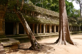 Recently restored area of Ta Prohm